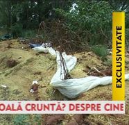 MISTERUL celebrului caz Abel incepe sa se evapore! Un prieten de familie face descoperiri uluitoare